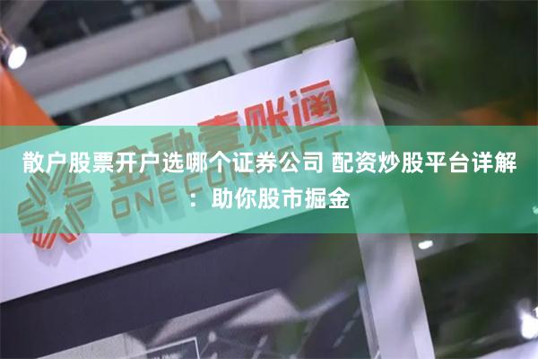 散户股票开户选哪个证券公司 配资炒股平台详解：助你股市掘金