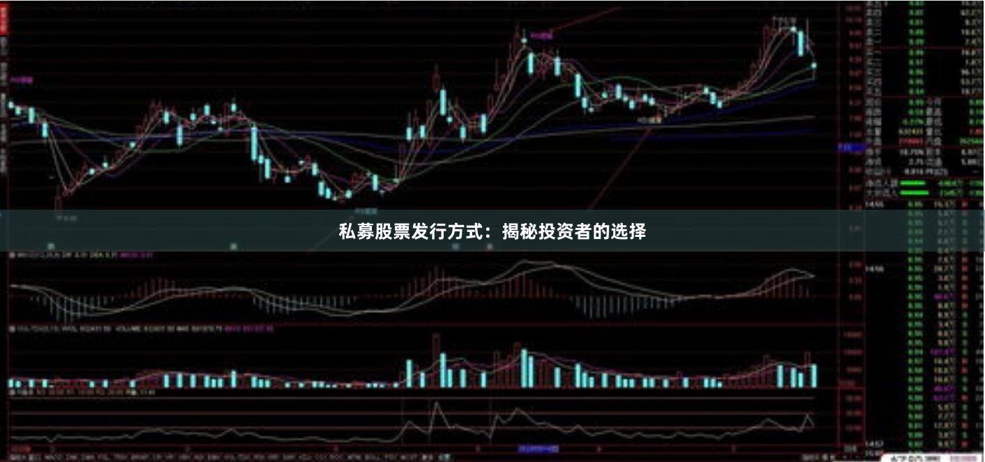 私募股票发行方式：揭秘投资者的选择