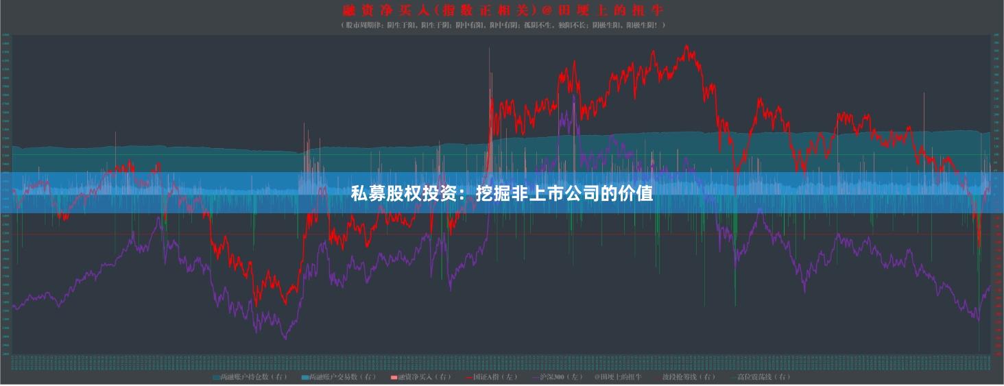 私募股权投资：挖掘非上市公司的价值