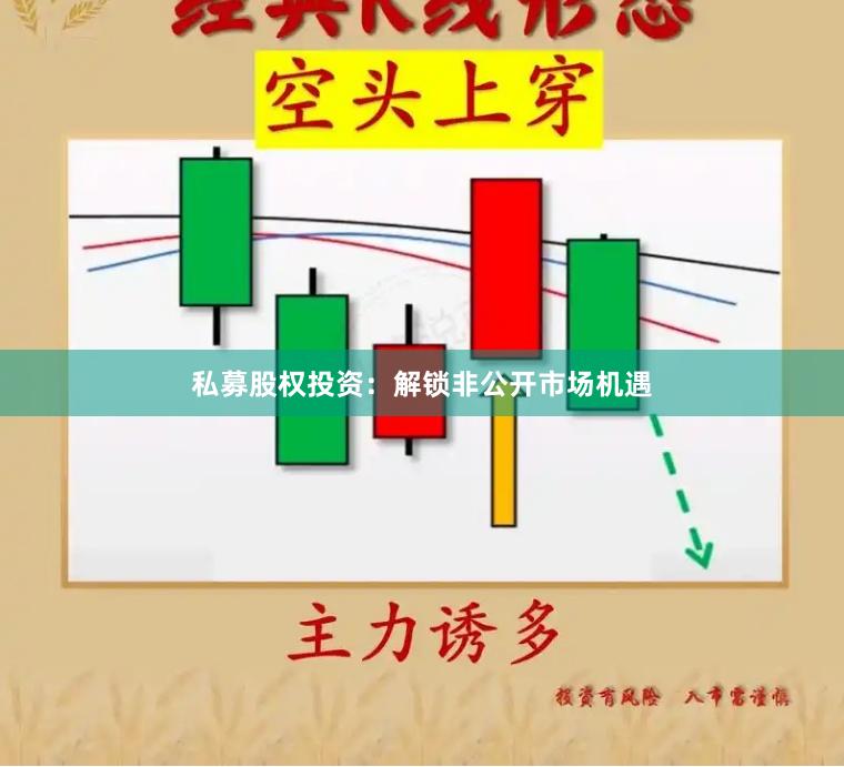 私募股权投资：解锁非公开市场机遇